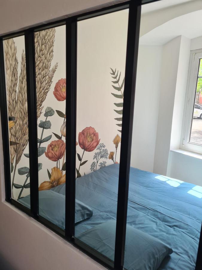 Appartement Cosy Avec Jardin Au Centre Historique De Selestat & Proche Europa-Park المظهر الخارجي الصورة