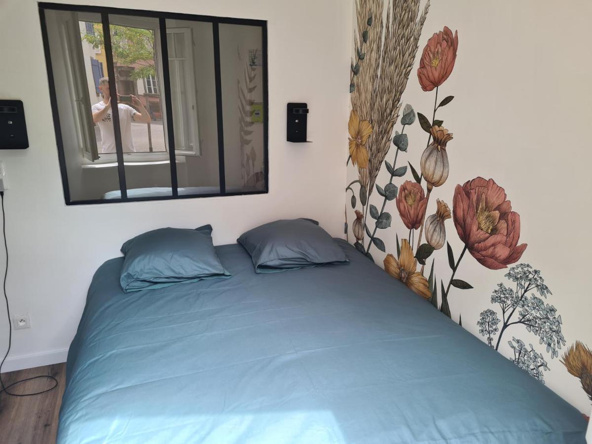 Appartement Cosy Avec Jardin Au Centre Historique De Selestat & Proche Europa-Park المظهر الخارجي الصورة